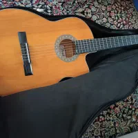 گیتار سالم