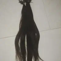 موی طبیعی کاملا سالم و بدون رنگ