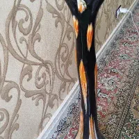 گلدان شیشه ای بلند