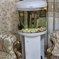 آکواریوم ام دی اف پایه دار شیشه خم