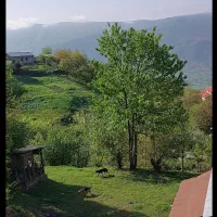زمین-ییلاقی-وکلبه-چوبی-بمتراژ693