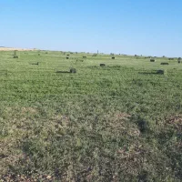 فروش پرس یونجه