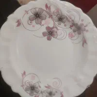 ایروپال نو