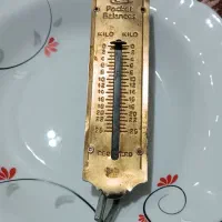 ترازوی دستی