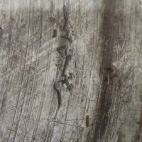 سینی کنگره ای مسی قدیمی