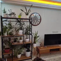 استند گل اعیانی