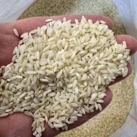 برنج چمپا فلارد یونکی