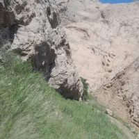 تور و گردش