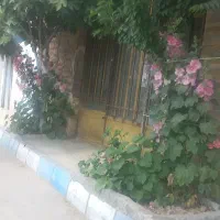 سوله-400متربنا-سندتک-برگ-درسیاسنگ-درمیدان-مادر