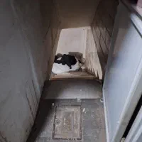 انباری ۷۵ متری