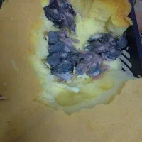 جوجه مینا افغان