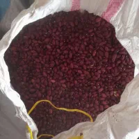 لوبیا قرمز