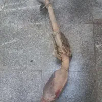 کاتالیزور نیسان ۱۴۰۱
