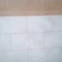 استا بنا همه کاره