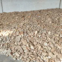 نان خشک