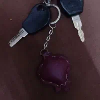 دو عدد سوئیچ گمشده