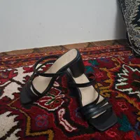 کفش مجلسی