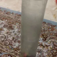 تنگ ماهی|ماهی|شهر ری, دیلمان|دیوار