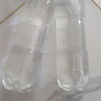 گلاب برای فروش