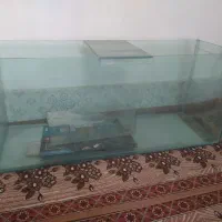 اکواریم