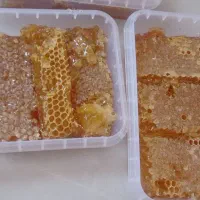 عسل