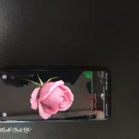 گوشی سامسونگ F1۳