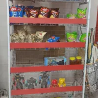 قفسه فلزی جا پفک جنس عالی