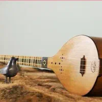 (آموزش حرفه ای سه تار)
