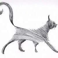 واگذاری گربه