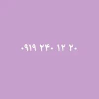 0919-2401-220