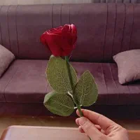 گل های قشنگمون تک شاخه و دسته گل