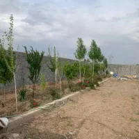 باغ ، ویلا ، باغچه ، گوارشگ