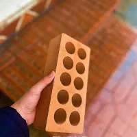 اجرلفتون/آجر لفتون زردوقرمز/اجرنما/اجر نما