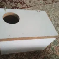لانه مرغ عشق