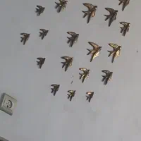 دیوار کوب پرستو برنز