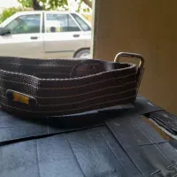 قلاده سگ