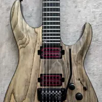 گیتار الکتریک Schecter Apocalypse