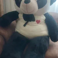 خرس بزرگ