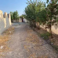 زمین-ویلایی-سهیلیه-ارغوان