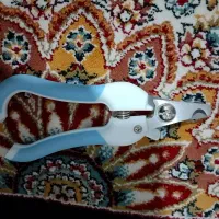 انواع وسایل و غذا گربه