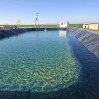 اجاره یاشراکت استخر پرورش ماهی