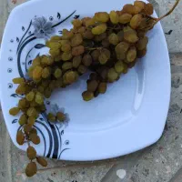 کشمش زرد دوایی