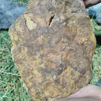 سنگ طلا یا مشکوک به طلا