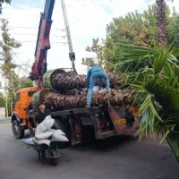 جرثقیل 911کفی از تا وزن شش تن