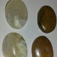 4عدد نگین شجرطبیعی (پاییزی،شجرزمینه شیری)