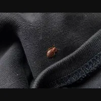خدمات سمپاشی با ضمانت ومجوز