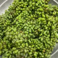 آبغوره تازه