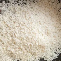 برنج طارم محلی شمال