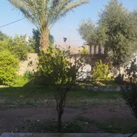 اجاره روزانه/هفتگی/ماهانه منزل ویلایی ۱۰۰ متری|اجارهٔ کوتاه‌مدت آپارتمان و سوئیت|مسجد سلیمان, |دیوار