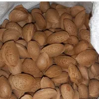 بادام درختی